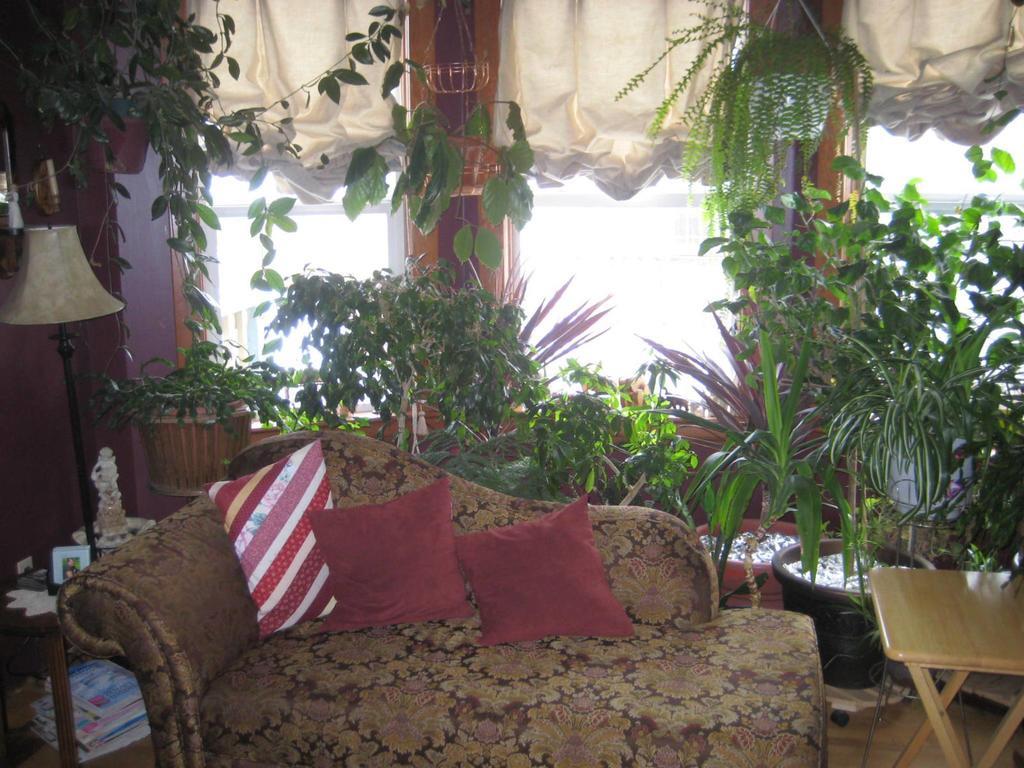 Phoenix House B&B Stettler Buitenkant foto